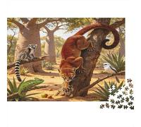 Madagascar Jungle 1000 Piece Jigsaw Puzzle Wild Animals Jigsaw Puzzle for Adults Relaxation Home Decor 70x50cm/1000pcs