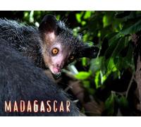 Madagascar - Season 1