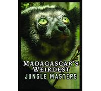 Madagascar's Weirdest: Jungle Masters