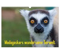 Madagascar's wondrous wildlife UK-Version (Wall Calendar 2026 DIN A3 Landscape), CALVENDO 12 Month Wall Calendar