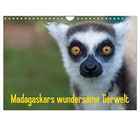 Madagascar's wondrous wildlife UK-Version (Wall Calendar 2026 DIN A4 Landscape), CALVENDO 12 Month Wall Calendar