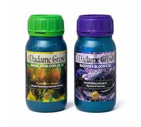MADAME GROW Flower DUOPACK - 2 x 250 ml - Save now and get this This Kit DE Bloom and fattening for 4.20 bestial results without complications