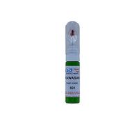 madAUTO Paint Touch Up Pen Compatible with Kawasaki 601 Lime Green Motorbike Bike (Just Paint)