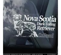 Madcolitote Nova Scotia Duck Tolling Retriever on Board Car Window Sticker Yarmouth Toller Dog Sign Decal Vinyl Die Cut Decals Funny Bumper Stickers Dog Pet Gift