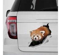Madcolitote Red Panda Car Stickers Cute Red Panda 3D Window Decal Bumper Die Cut Vinyl Decal Funny Laptop Stickers Pet Gift,10 Inch