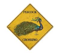 Madcolitote Watercolor Peacock Crossing Sign Beware of Peacock Xing Sign Peacock Bird Street Sign Animal Novelty Road Fence Rustic Wall Decor Warning Metal Tin Sign For Indoor Outdoor 10x10 Inch