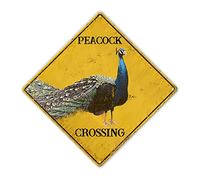 Madcolitote Watercolor Peacock Crossing Sign Beware of Peacock Xing Sign Peacock Bird Street Sign Animal Novelty Road Fence Rustic Wall Decor Warning Metal Tin Sign For Indoor Outdoor 15x15 Inch