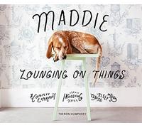 Maddie Lounging On Things: A Complex Experiment Involving Canine Sleep Patterns