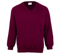 Maddins Childrens Unisex Coloursure V-Neck Sweatshirt / Schoolwear RW843