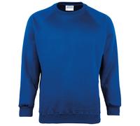 Maddins Coloursure™ sweatshirt - Easycare crew neck, Raglan sleeve with cuff