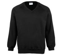 Maddins Coloursure V-neck Sweatshirt (MD02M) - Raglan Sleeve Pull Over Jumper