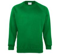 Maddins Kids Unisex Coloursure Crew Neck Sweatshirt / / N/A N/A RW6862