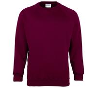 Maddins Kids Unisex Coloursure Crew Neck Sweatshirt / / N/A N/A RW841