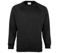 Maddins Kids Unisex Coloursure Crew Neck Sweatshirt / / N/A N/A RW841