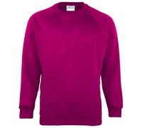 Maddins Kids Unisex Coloursure Crew Neck Sweatshirt / / N/A N/A RW841