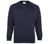 Maddins Mens Coloursure Plain Crew Neck Sweatshirt 12 / N/A N/A RW842