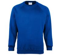 Maddins Men's Coloursure Plain Crew Neck Sweatshirt in Royal | Size: 2XL MADDINS Royal 2XL