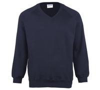 Maddins Mens Coloursure™ V-Neck Sweatshirt (M) (Navy)