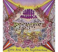 Maddock James - Little Bird in the Neighbourhood