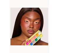 Made By Mitchell Colour Case Colour Cosmetic Palette The Electrics