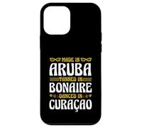 Made in Aruba Tanned in Bonaire Danced in Curaçao Funny ABC Case for iPhone 12 mini