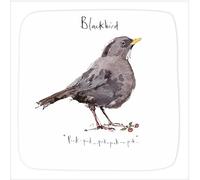 Madeleine Floyd - The Dawn Chorus - Blackbird