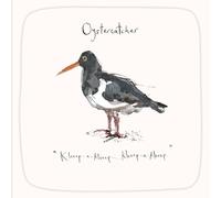 Madeleine Floyd - The Dawn Chorus - Oystercatcher