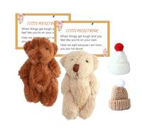 MADGININE 2 PCS Pocket Bear Worry Hug Tiny Teddy With Gift Card and Small Hat - Cute Comfort Sentimental Gift for Kids Friends Family Couples