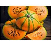Madhu Ras Melon Seeds - 10 Fresh Rich Sweetness Melon Seeds