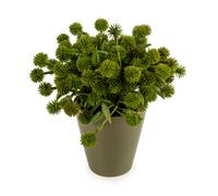 Madison & Mayfair 20Cm Allium Plant In Pot - Green