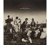 MADNESS - The Rise & Fall