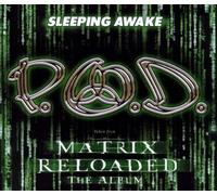 P.O.D. - What It Feels Like for [CD 1]