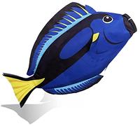 Madrona Brands Blue Tang Tropical Fish Windsock | Durable Outdoor Hanging Wind Decoration | Yard, Beach, Boat, Dock | 30-Inch
