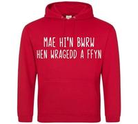 Mae hi'n bwrw hen wragedd a ffyn Its raining cats and dogs welsh wales Hoodie humour grumpy dad husband present gift shirt premium funny sarcasm mens