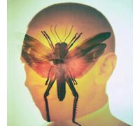 Maelstrom - Rhizome [VINYL]