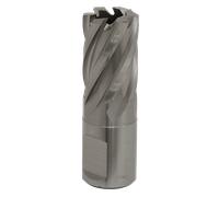 Mag Drill Bit HSS Ø19mm - Cut Depth 25mm