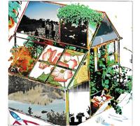 Magazine Beach Constant Springtime Half White / Half Spring (Vinyl) (US IMPORT)
