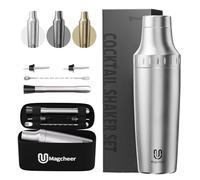 Magcheer Cocktail Shaker with Built-in Jigger 900ml Premium Cocktail Making Kit Antifreeze Double-Layer Barkeeper Set with Storage Bag for Beginners and Bartenders(Silver)