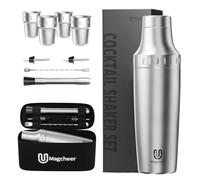 magcheer Insulated Cocktail Shaker 900ml with 4pcs Stackable Cup | Premium Cocktail Making Kit | Antifreeze Double-Layer Barkeeper Set with Travel Storage Bag for Beginners and Bartenders(Silver)