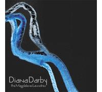 Magdalene Laundries by Diana Darby