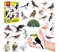 Magdum Fridge Magnets for Kids - Birds - 25 Educational Magnets for Toddler