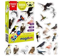 magdum Fridge Magnets for Kids BIRDS Animal - 25 Large Toddlers Magnetic Animals Toys Toddler Magnet Baby Preschool Toys, Multicolor