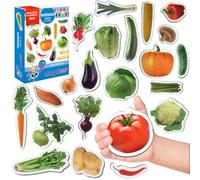 Magdum Fridge Magnets for Toddlers - Big 25 Vegetable - Educational Toy | Realistic Kitchen Play Set for Refrigerator & Whiteboard - Learning Montessori Toys for Preschool & Home - Gift for Kids