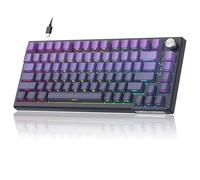 MageGee SKY81 75% Mechanical Gaming Keyboard, RGB Hot Swappable Wired Custom Creamy Keyboards with 5-Layer Sound Dampening, Knob, Side Printed Keycaps for Win/Mac (Dark Purple, Blue Whale Switch)