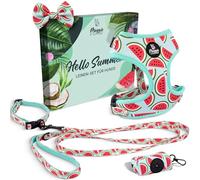 MAGGIE & COOPER Dog Lead Set - Melon Design - 5 Pieces - Collar, Harness, Leash, Bowknot, Poop Bag Dispenser - 4 Sizes - Gift Packaging (XS)