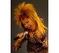 Magic Box 80s Tina Turner Style Rock Diva Wig