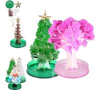 Magic Cherry Blossom Tree, Crystal Growing Kit, Cherry Magic, Magic Tree, 2024 New Crystal Growing Cherry Blossom Tree, Growing Crystal Tree, Desk Decor Gift For Kids On Birthday, Christmas (C+D)
