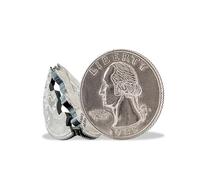 Magic Coin Trick | Bite Quarter Trick | Quarter Bite Trick | Bite Coin | Folding Quarter Magic Trick | Magic Folding Quarter | Coin Magic Trick | Disappearing Coin Magic Trick | Silver