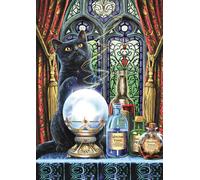 Magic Collection: The Witch?s Apprentice