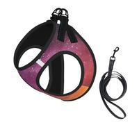 Magic Color Enchanting Sky Background No Pull Dog Harness and Leash Set, Cute Reflective Adjustable Vest for Small Dogs,Breathable Mesh Puppy Harness for Walking Hiking,Small